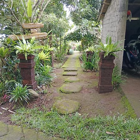 Penebel Bali Mountain Forest Cabin מראה חיצוני תמונה