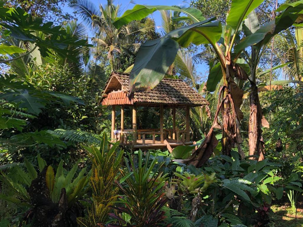 Penebel Bali Mountain Forest Cabin מראה חיצוני תמונה