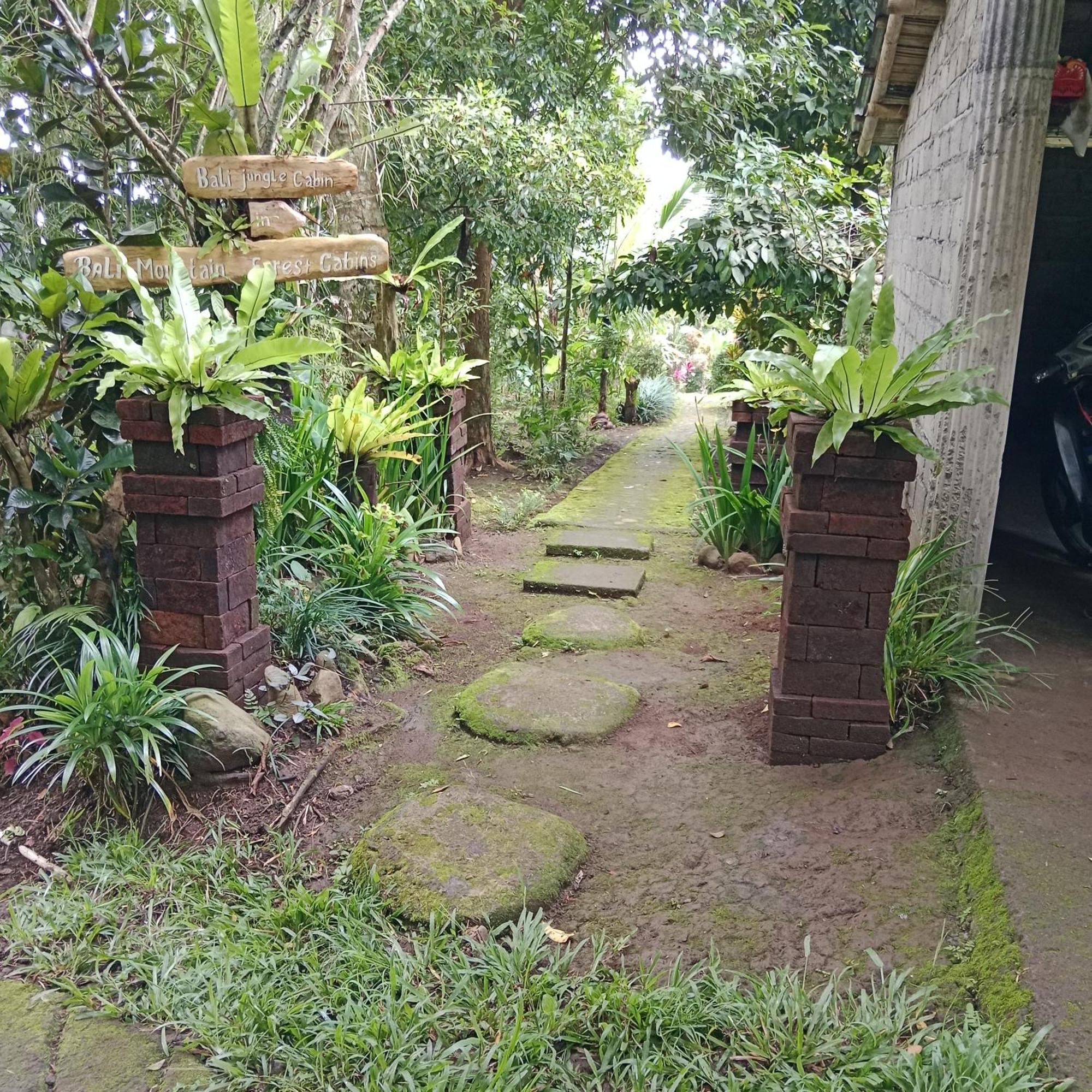 Penebel Bali Mountain Forest Cabin חדר תמונה