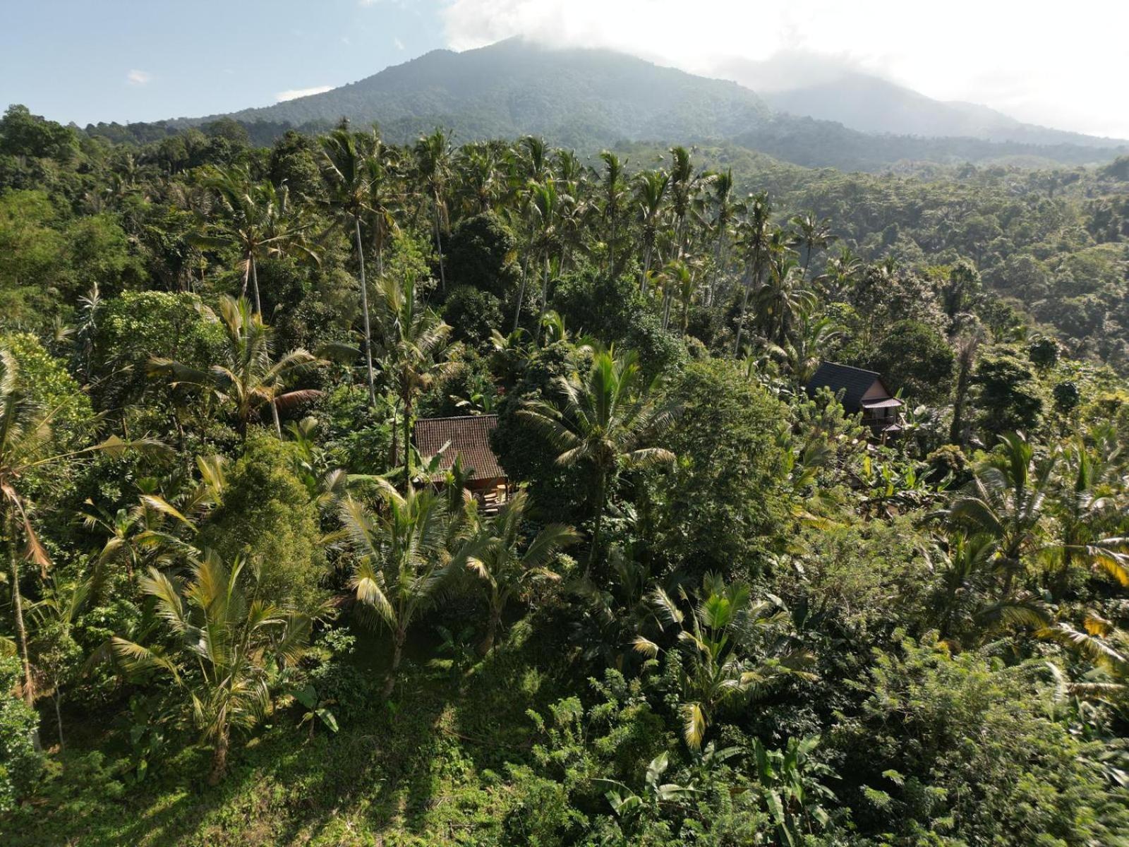 Penebel Bali Mountain Forest Cabin חדר תמונה