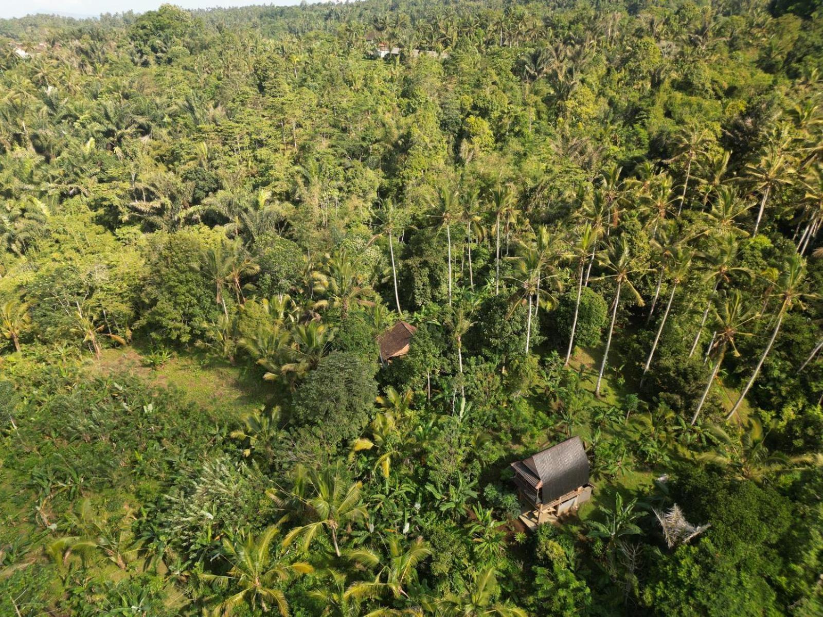 Penebel Bali Mountain Forest Cabin חדר תמונה