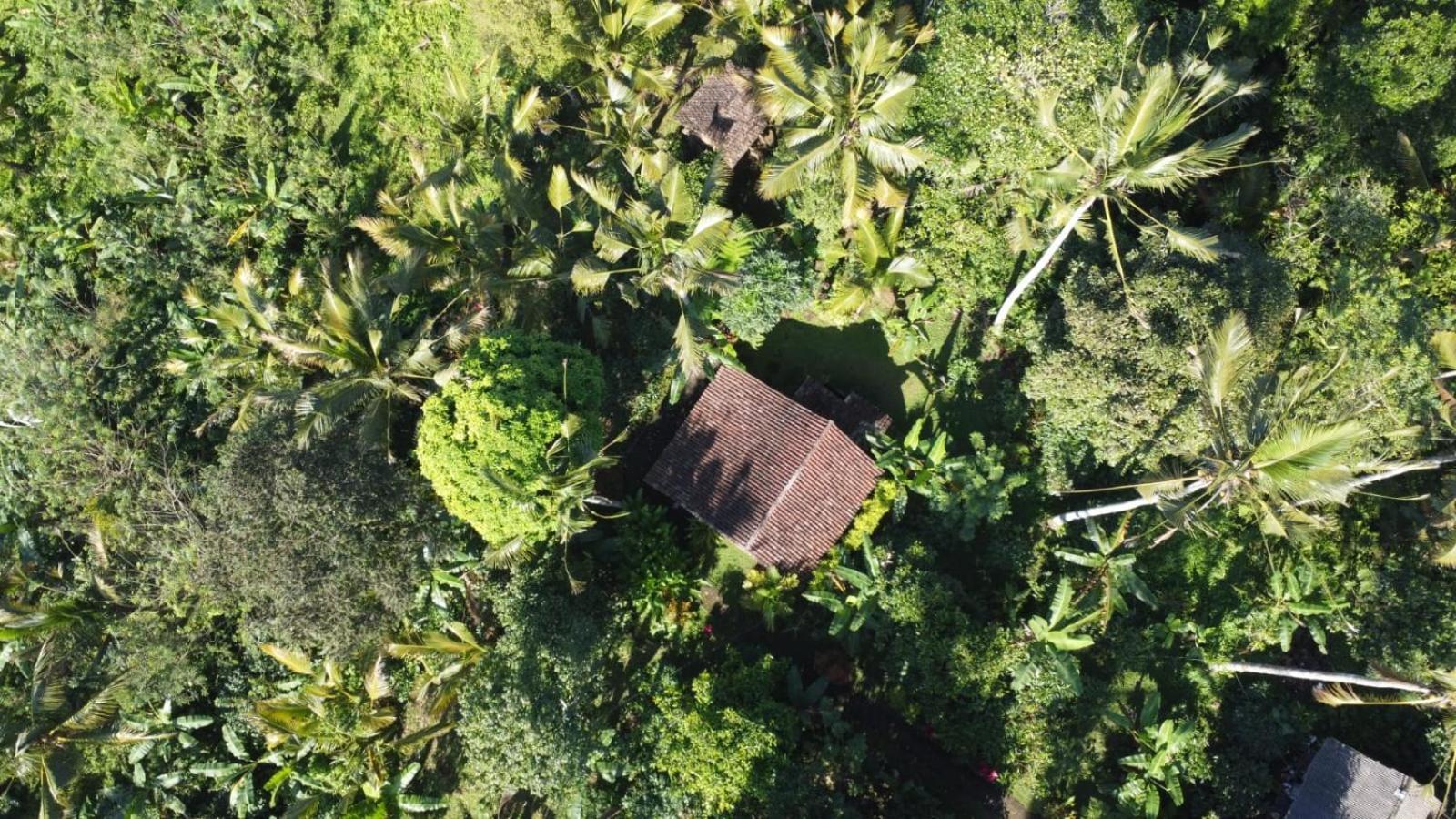 Penebel Bali Mountain Forest Cabin חדר תמונה