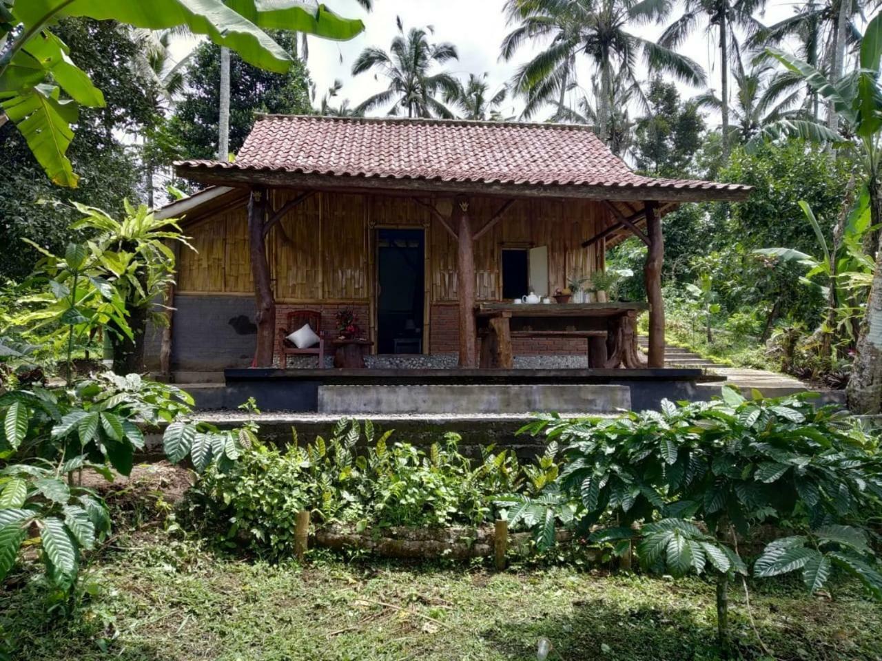 Penebel Bali Mountain Forest Cabin מראה חיצוני תמונה
