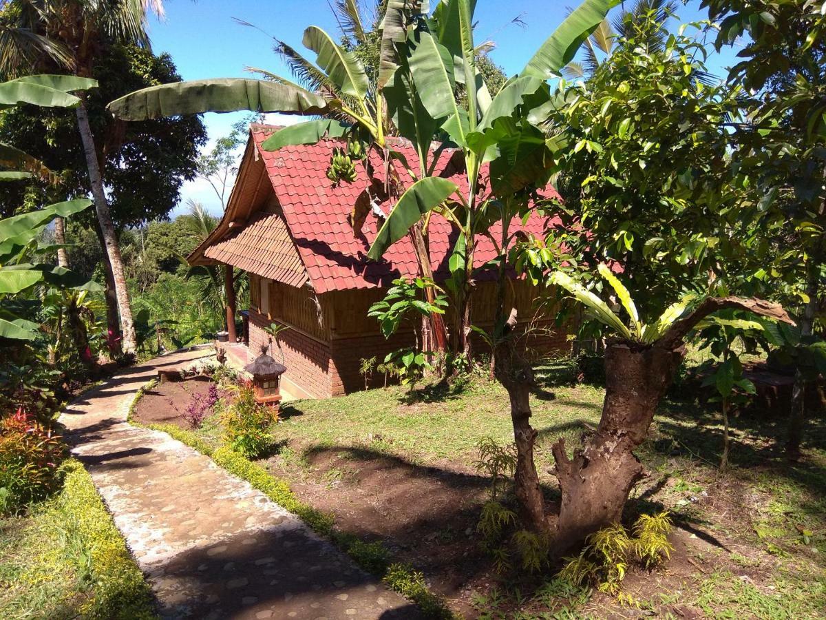 Penebel Bali Mountain Forest Cabin מראה חיצוני תמונה