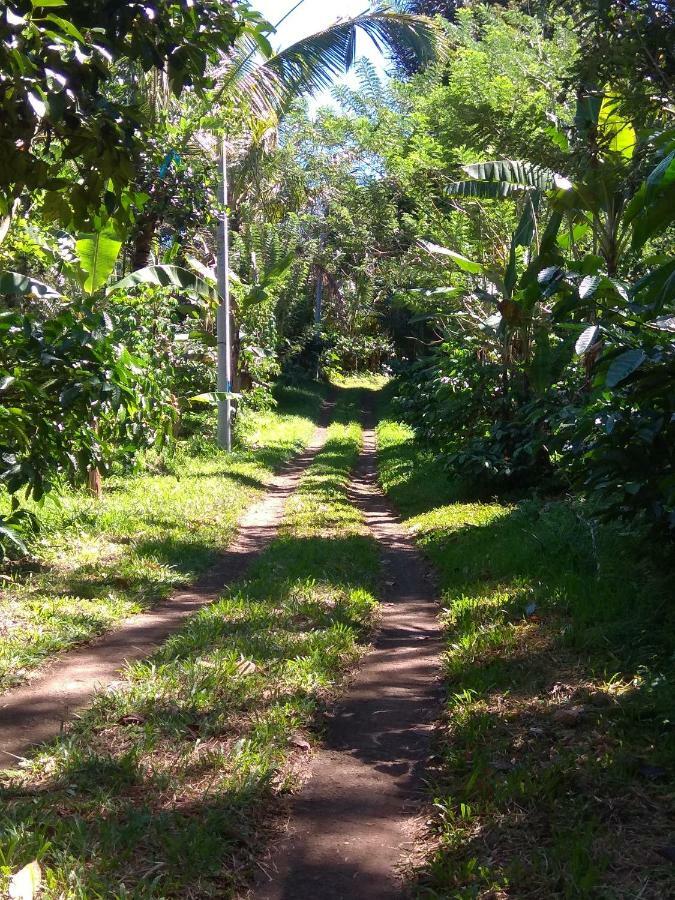 Penebel Bali Mountain Forest Cabin מראה חיצוני תמונה