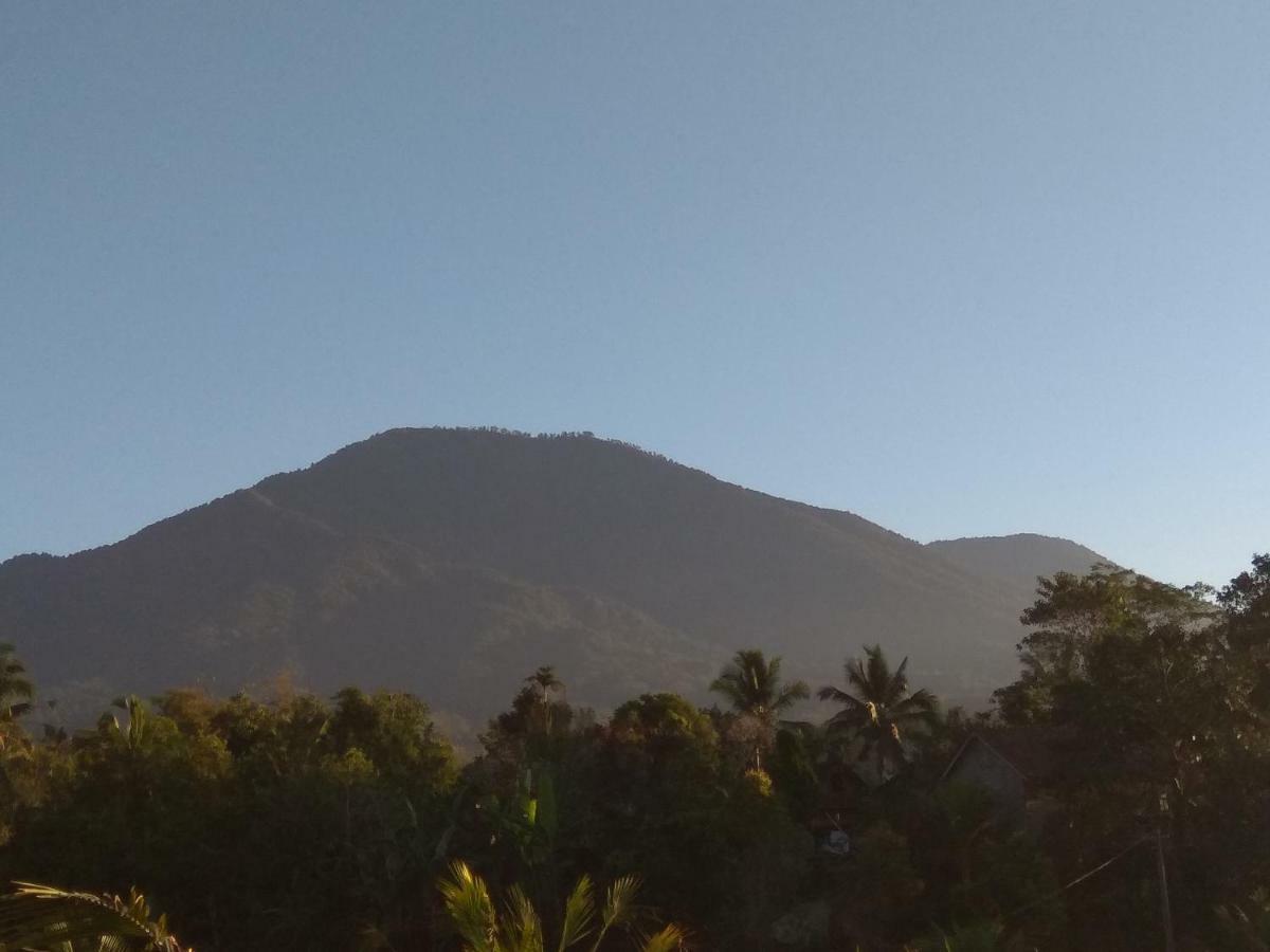 Penebel Bali Mountain Forest Cabin מראה חיצוני תמונה