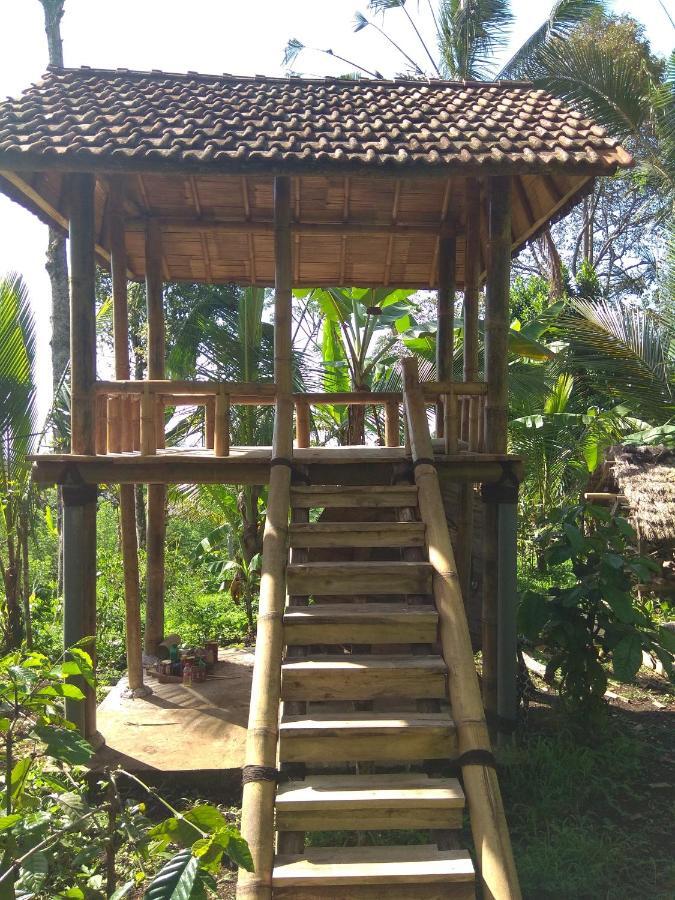 Penebel Bali Mountain Forest Cabin חדר תמונה
